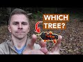 Identifying trees without looking up