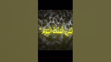 الشيخ بندر بليلة القران الكريم