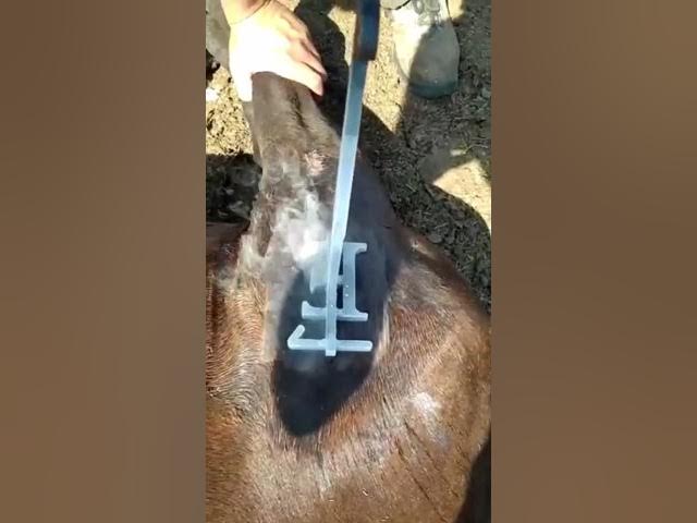 Қыздардың азғындауы туралы порно видеоларды онлайн көріңіз Миллиардерлердің сексі