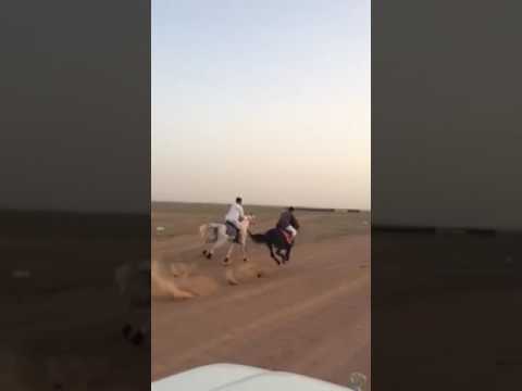 سقوط من الخيل   