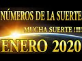 NÚMEROS DE LA SUERTE ENERO 2020 Conoce Tu Número De La Suerte