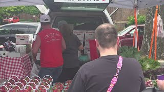Fun and farm: Greene Street Market open for season