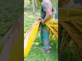 Bangladesh Turns Fallen Leaves Into Amazing Food Containers! 🌿 😳 #shortsvideo
