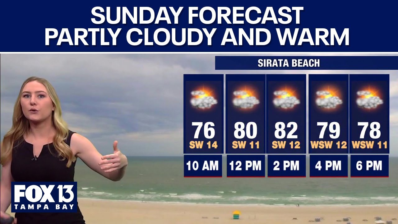 Tampa weather | Sunny skies and comfortable temps - YouTube