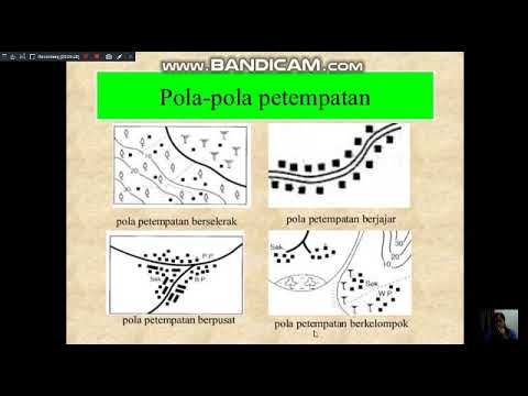 Petempatan geografi pola Faktor Penentu