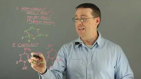 What Is It That Holds the Enzyme Substrate Complex Together?