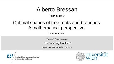 Alberto Bressan - Optimal shapes of tree roots and branches. A mathematical perspective.