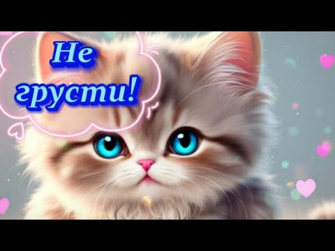 Хорошего дня тебе! Не грусти! Все будет хорошо! Желаю тебе хорошего настроения! Милые котики!