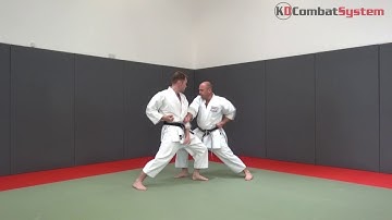 Heian Shodan APPLICATION Part 1