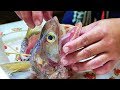 Japanese Street Food - SNAKE FISH Burger Seafood Japan