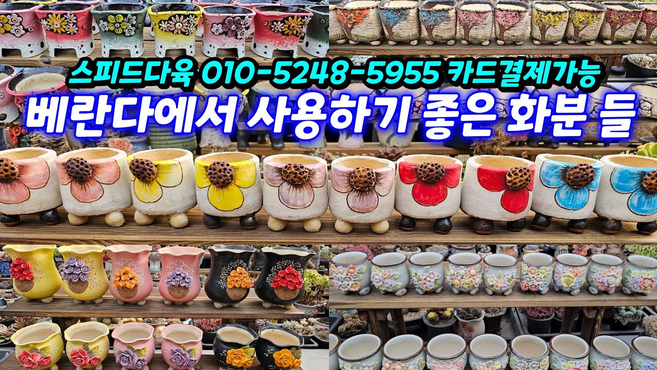 26.2.20 🌹스피드다육에서 사용하기 좋은 화분들 설화분 소풍분 도향분 달래분 돌담분🌹 스피드다육 010-5248-5955 전국택배가능 