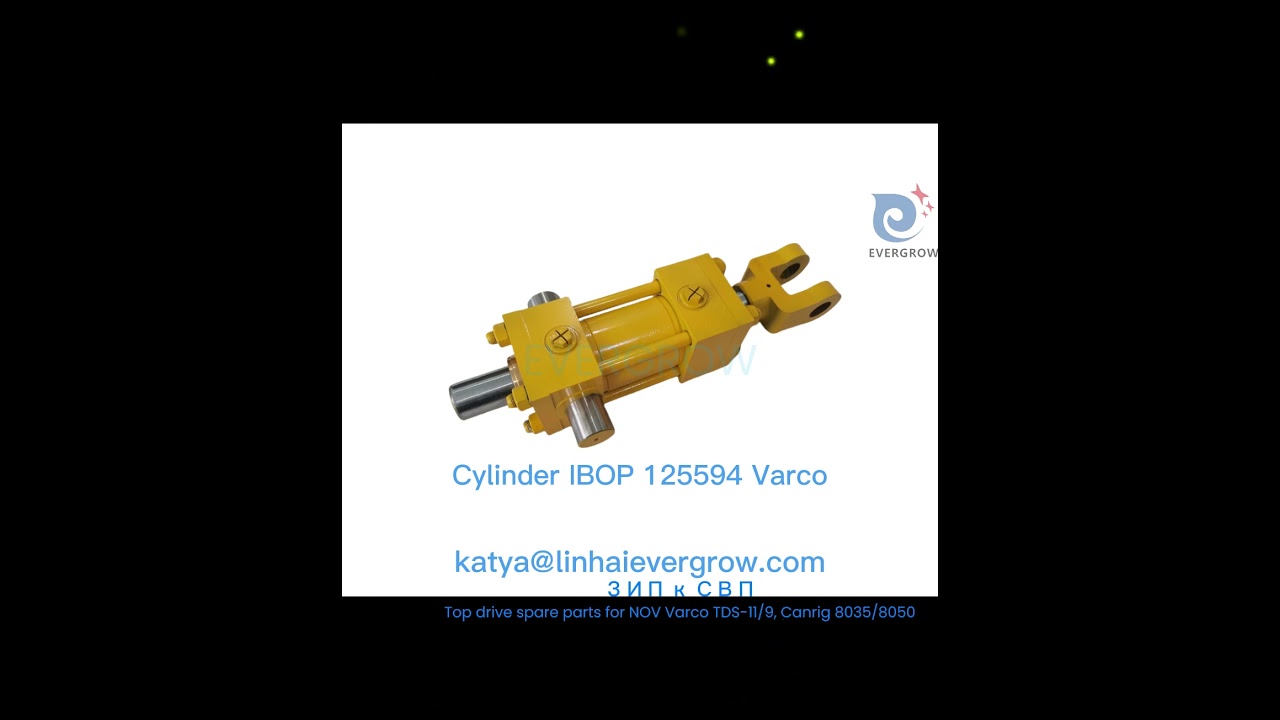 TDS PARTS VARCO REPAIRE KIT IBOP КШЦ NOV 