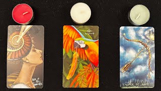 🤯Their AHA Moment About YOU!! (what is it??)💡⚡️🗡️ *Pick A Card* Timeless Tarot Psychic Love Reading