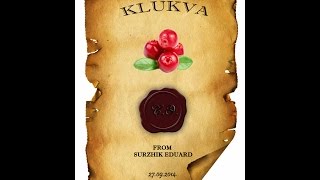 Настойка на клюкве Настойка на клюкве