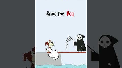 Brain GYM: Brain Teasers with Cute Dog Game 2021 | Brain Out | Brain Test | Brain Find #shorts