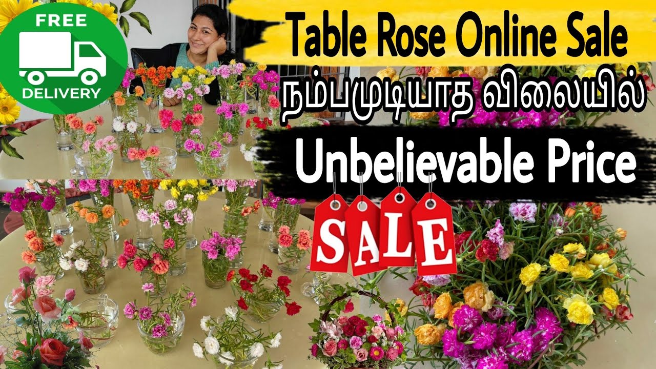 வாட்ஸ்அப் செய்தால் போதும் வீடு தேடி வரும் / Table Rose Online Sale / Moss Rose / Online Plant Sale