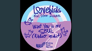 Want You In My Soul (feat. Stee Downes) (Radio Edit)