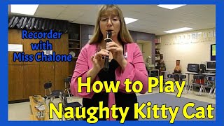 Naughty Kitty Cat Recorder Tutorial - How to Play