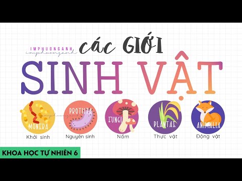 Các giới sinh vật | KHTN 6