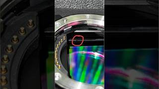 What really happens when you drop your phone? #phone #camera #tech