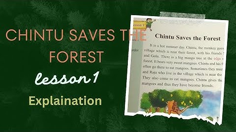 Chintu Saves the Forest|Class 4|Lesson 1|TS Gyan|Assamese Explaination