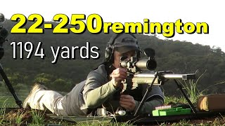 22-250rem at 1200 yards (MDT ORYX Chassis)