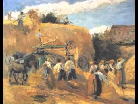 The Enclosures & the Agricultural Revolution