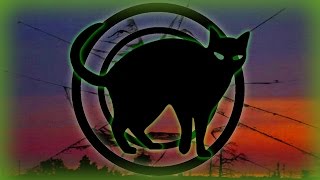 The Paranormal Secrets of Coincidence and Synchronicity