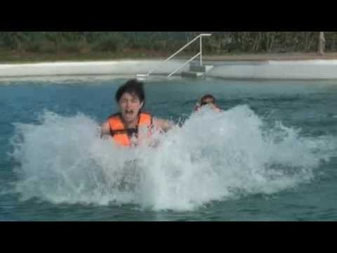 Crazy girl riding a dolphin