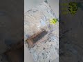 إشارة السيال إشارة السيال