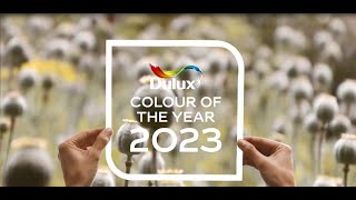 Colour Trends 2023 - Interior Design Decorating Ideas | Dulux Trade