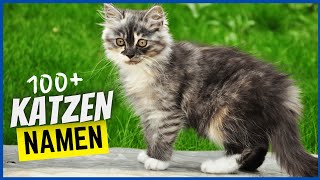 100+ Namen für Katzen & was sie bedeuten (Katzen & Kater)