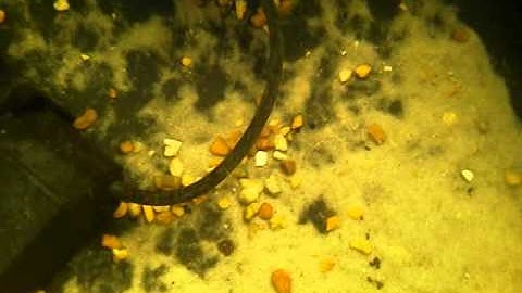 Underwater video with commando droid phone