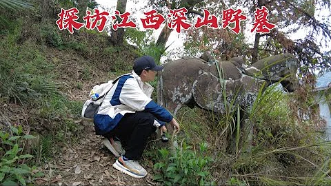 探访江西深山野墓，村民出家门就是墓地，这景象太让我惊讶了！ - 天天要闻