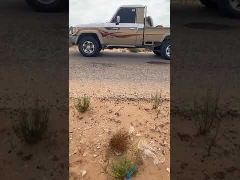 قبيلة الرميلات فخامه الاسم تكفي ارميلات ولينا علي قمم الامجاد رايات