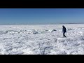 Whole ocean is frozen, INSANE!