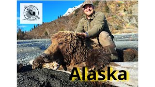 2 Bears… in the Alaskan peninsula