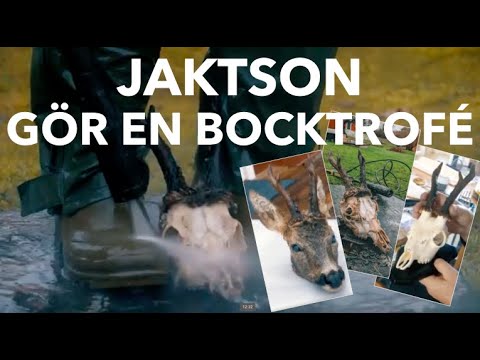 Video: Hänsynslös Bock Med Vass Huvud