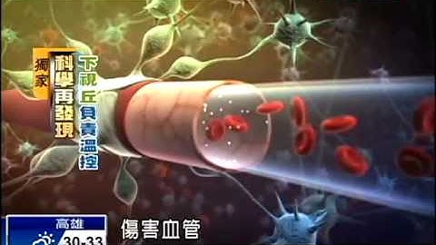 大腦如何調節體溫  解密中暑現象－民視新聞 - 天天要聞