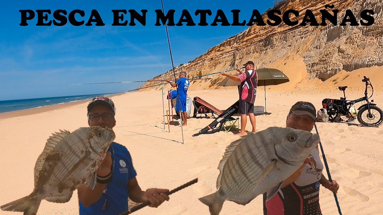 PESCA SURFCASTING SARGOS EN MATALASCAÑAS