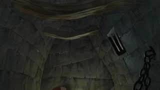 Toad’s Adventures