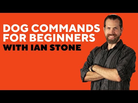 Dog Training Promo - Dog Commands For Beginners