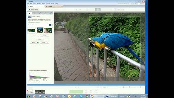 Good News from the Warehouse-Picasa-0011 how I use the flip tool