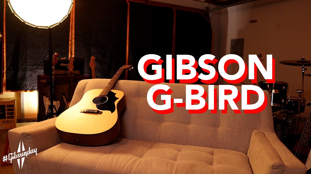 Gibson | G-Bird