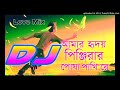 Amar hridoy o pingirar posha pakhi re bangla new song dj remix