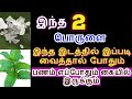 இந்த 2 பொருள்கள் போதும் பணம் எப்போதும் கையில் சேரும்   -Siththarkal Mant...