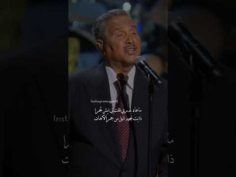 ما عاد بدري محمد عبده