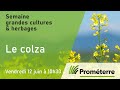 Le colza la semaine grande cultures  herbages 2020 de promterre