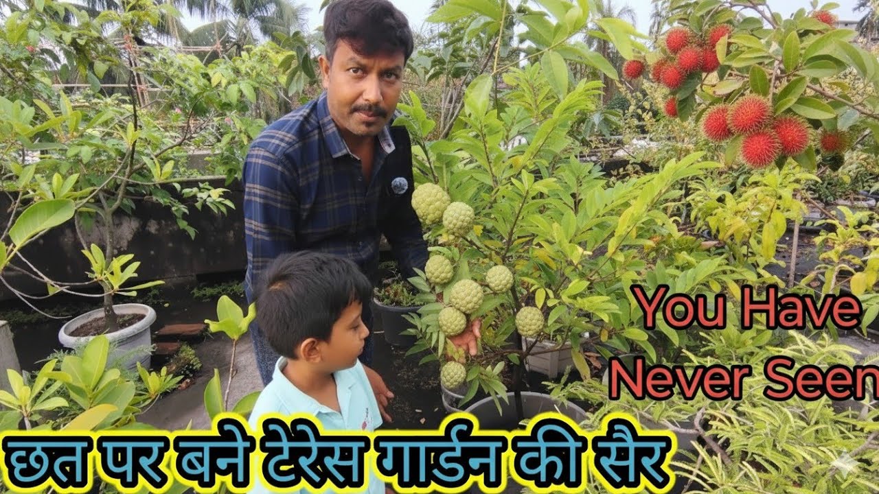 छत पर बने टेरेस गार्डन की सैर 3rd Part ! Overview of My Terrace 🏡