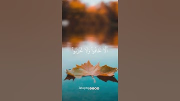 إن الذين قالوا ربنا الله ثم إستقاموا |سورة فصلت | جابر القيطان
